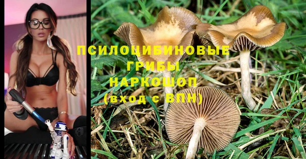 молекула духа Алексеевка